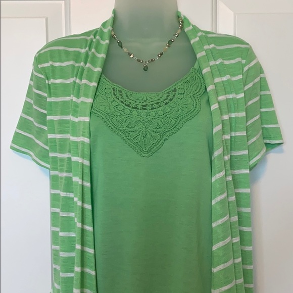 Tribal Women's Plus Size Dolman Short Sleeve Sweater with